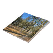 Champoeg State Park, Saint Paul OR Tegeltje (Zijkant)