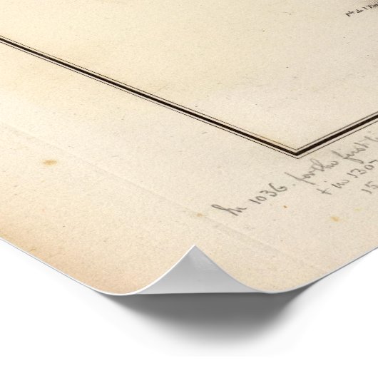 Champs Phlegreens Poster (Hoek)