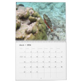 Chan Chemuyil Underwater Calendar Kalender (Mar 2026)