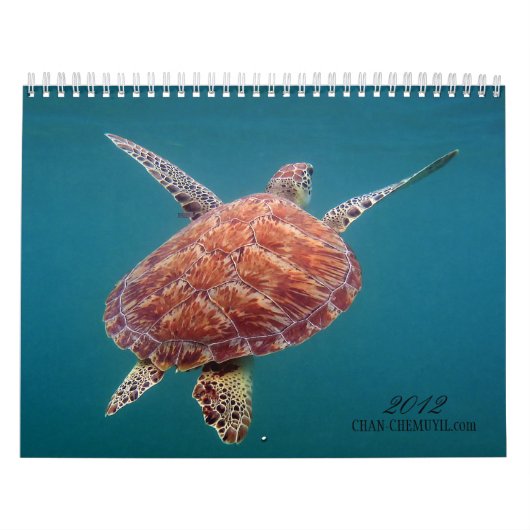 Chan Chemuyil Underwater Calendar Kalender (Hoes)