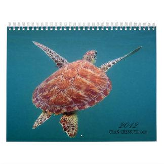 Chan Chemuyil Underwater Calendar Kalender