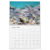 Chan Chemuyil Underwater Calendar Kalender (Jan 2027)