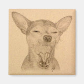 Chance de Chihuahua Magnet ~ Puppy Yawn (Voorkant)