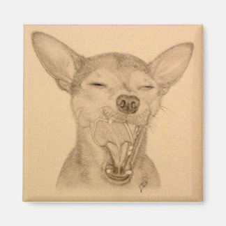 Chance de Chihuahua Magnet ~ Puppy Yawn