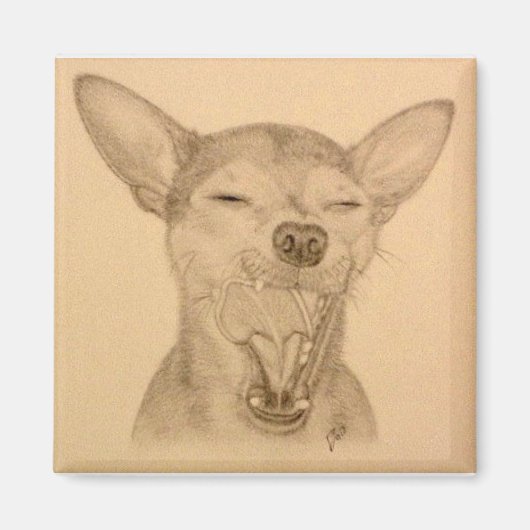 Chance de Chihuahua Magnet ~ Puppy Yawn (Voorkant)