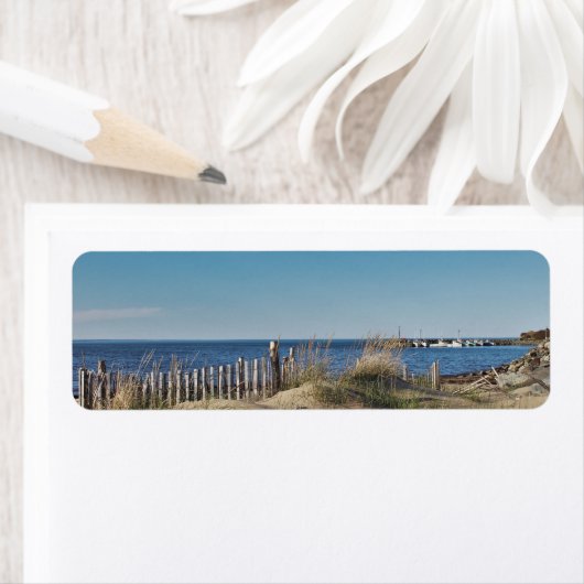 Chance Harbor Etiket (Insitu)