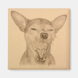 Chance the Chihuahua Magnet ~ Puppy Yawn