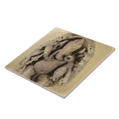 Chandella Dynasty (zandsteen) Tegeltje (Zijkant)