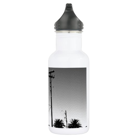 Chandler AZ Powerlines Waterfles (Rechts)