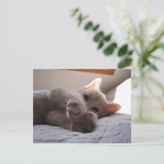 Chandler Briefkaart (Staand voorkant)