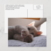 Chandler Briefkaart (Voorkant / Achterkant)