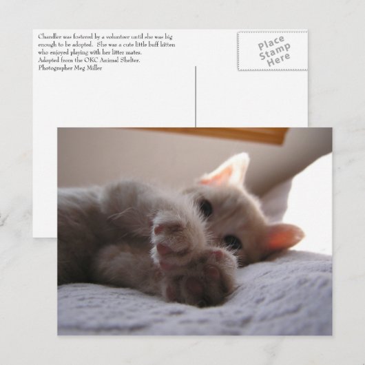 Chandler Briefkaart (Voorkant / Achterkant)