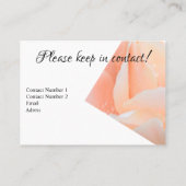 Change of Address Card – Elegant Peach Rose Visitekaartje (Achterkant)