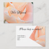 Change of Address Card – Elegant Peach Rose Visitekaartje (Voorkant / Achterkant)