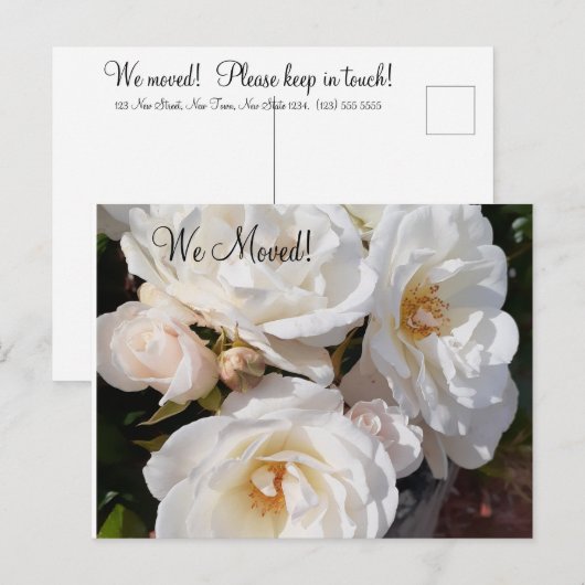  Change of Address Romantic Rose Briefkaart (Voorkant / Achterkant)