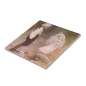 Changed By Magic By John Bauer Tegeltje (Zijkant)