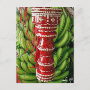 CHANGO RACIMO BATEA BRIEFKAART