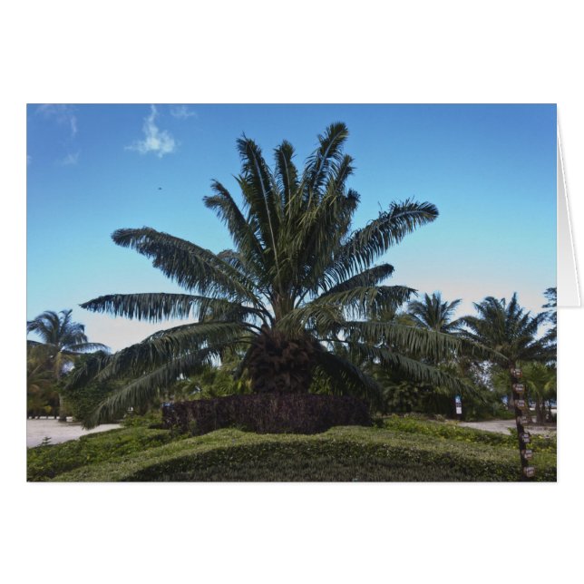 Chankanaab, Cozumel, Mexico (Voorkant Horizontaal)