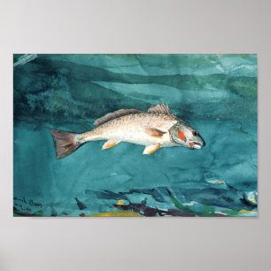 Channel Bass American Painting door Homer Poster