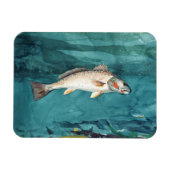 Channel Bass Fish American Painting door Homer Magneet (Horizontaal)