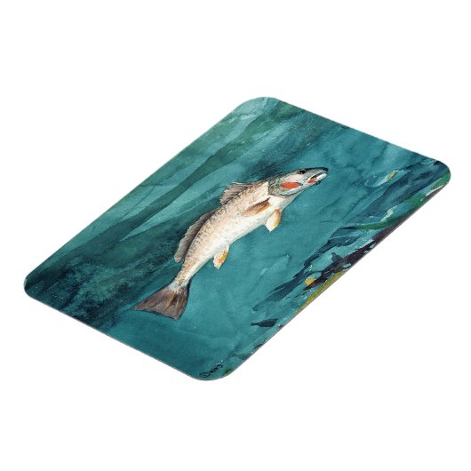 Channel Bass Fish American Painting door Homer Magneet (Linkerzijde)