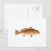 Channel Bass Logo Briefkaart (Voorkant / Achterkant)