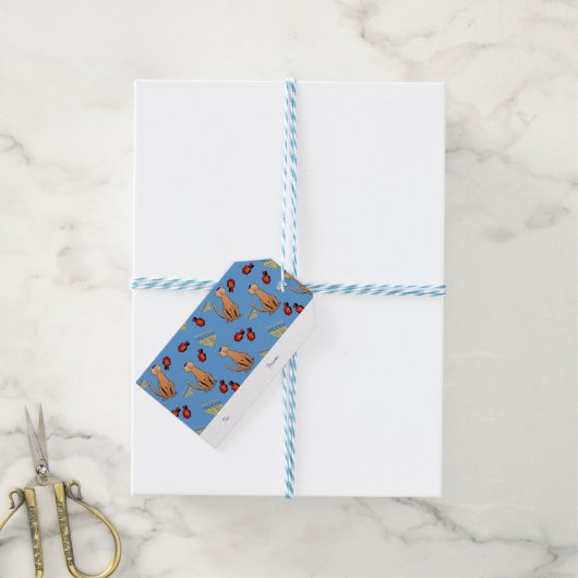 Chanoeka Cat Dreidel Blue Gift Label Cadeaulabel (Met Touw)