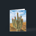Chanoeka Wenskaart - Prickly Menorah Kaart<br><div class="desc">Over dit item * BINNEN GROET: "Warm wensen voor een Gelukkige Chanoeka!" HOESJE - [afbeelding van cactus in de vorm van een menora met kaarsen] * KAART MAAT - Ontvang 1, normale notecard met 5x7 Inch envelop. Wij bieden grappige kaarten die of leeg of begroet binnen komen, zo zeker om...</div>