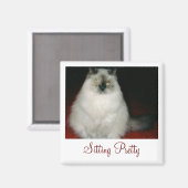 Chantal the Cat Sitting Magnet (Voorkant / Achterkant)