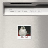 Chantal the Cat Sitting Magnet (Insitu (Vaatwasser))