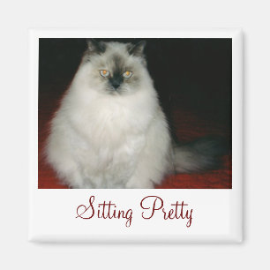 Chantal the Cat Sitting Magnet
