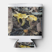 Chanterelle, Cantharellus cibarius