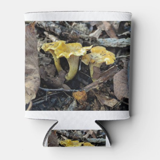 Chanterelle, Cantharellus cibarius Blikjeskoeler (Voorkant)