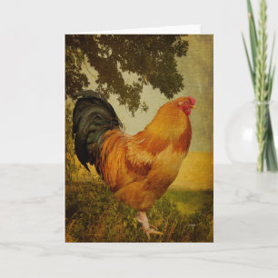 Chanticleer Rooster Blank Wenskaart Kaart