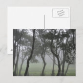 Chao dos Louros, Madeira, Portugal Briefkaart (Voorkant / Achterkant)