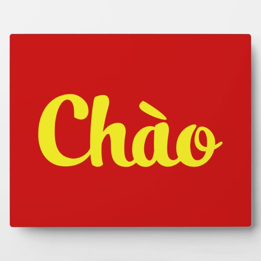 Chào / Hallo ~ Vietnam / Vietnamees / Tiapng Vioot Fotoplaat (Voorkant)
