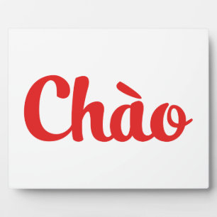 Chào / Hallo ~ Vietnam / Vietnamees / Tiapng Vioot Fotoplaat