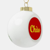 Chào / Hallo ~ Vietnam / Vietnamees / Tiapng Vioot Keramische Bal Ornament (Links)
