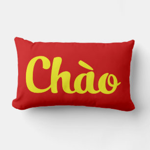 Chào / Hallo ~ Vietnam / Vietnamees / Tiapng Vioot Kussen