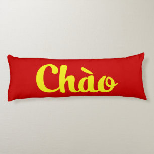 Chào / Hallo ~ Vietnam / Vietnamees / Tiapng Vioot Lichaamskussen