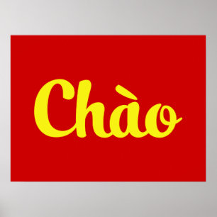 Chào / Hallo ~ Vietnam / Vietnamees / Tiapng Vioot Poster