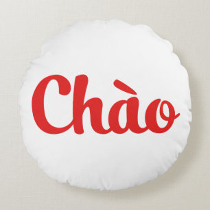 Chào / Hallo ~ Vietnam / Vietnamees / Tiapng Vioot Rond Kussen