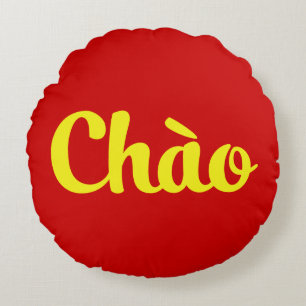 Chào / Hallo ~ Vietnam / Vietnamees / Tiapng Vioot Rond Kussen