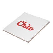 Chào / Hallo ~ Vietnam / Vietnamees / Tiapng Vioot Tegeltje (Zijkant)