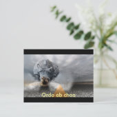 chaos briefkaart (Staand voorkant)