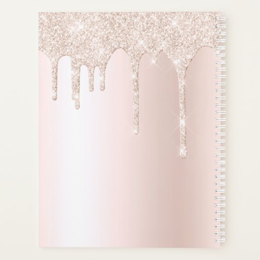 Chaos Coordinator Chic Girly Glitter persoonlijke Planner (Achterkant)