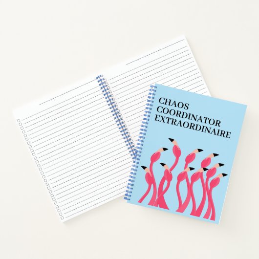 Chaos Coordinator Extraordinaire Funny Teacher's Notitieboek (Binnen)