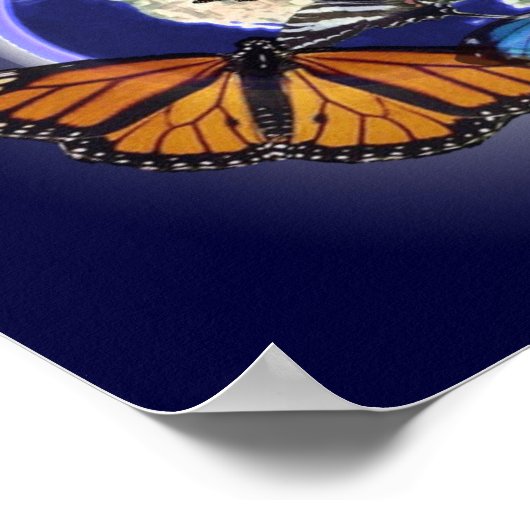 Chaos en de vlinder poster (Hoek)