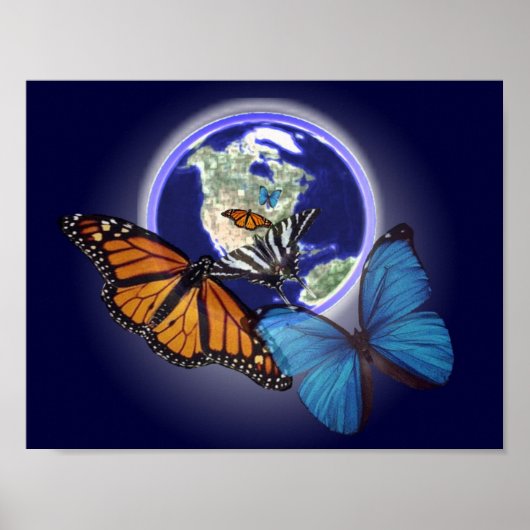 Chaos en de vlinder poster (Voorkant)