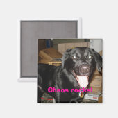 Chaos rockt! magneet (Voorkant / Achterkant)